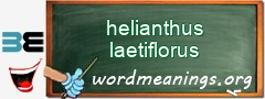 WordMeaning blackboard for helianthus laetiflorus